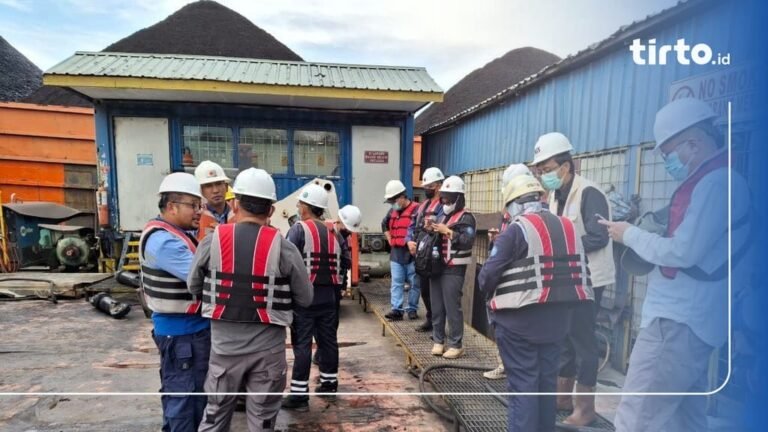 Kematian Pesut Mahakam picu KLHK ancam jalur hukum aktivitas pertambangan.