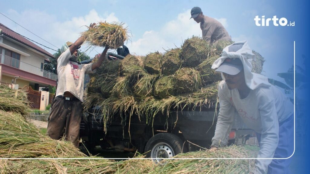 Era baru bahan bakar: Bobibos resmi diperkenalkan untuk pembakaran lebih bersih dan efisien.