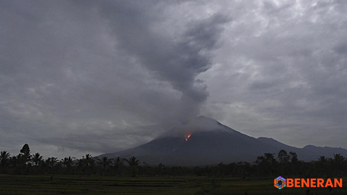 Aktivitas Gunung Semeru: Asap Putih Membumbung Tinggi