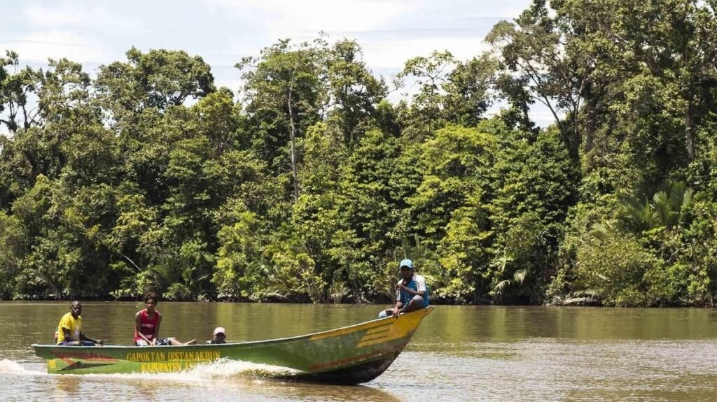DPR Soroti Pembabatan Hutan Mangrove 3 Hektare di Kendari untuk Hunian Pribadi