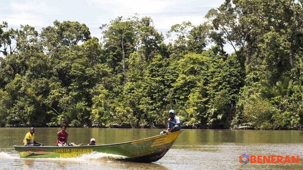 DPR Soroti Pembabatan Hutan Mangrove 3 Hektare di Kendari untuk Hunian Pribadi