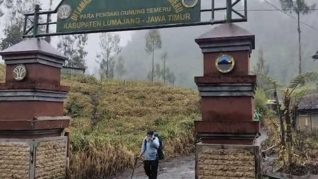 Klarifikasi BPBD: Satwa Mati di Semeru Bukan Macan, Melainkan Kucing Hutan
