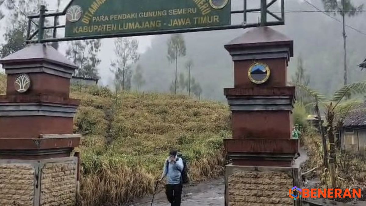 Klarifikasi BPBD: Satwa Mati di Semeru Bukan Macan, Melainkan Kucing Hutan