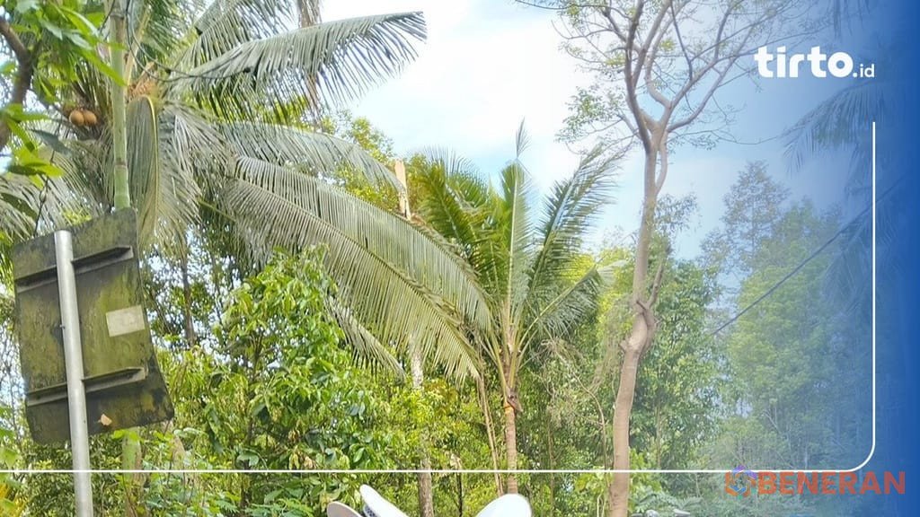 Minibus naas di Buleleng tewaskan lima turis Tiongkok. Sopir telah ditangkap.