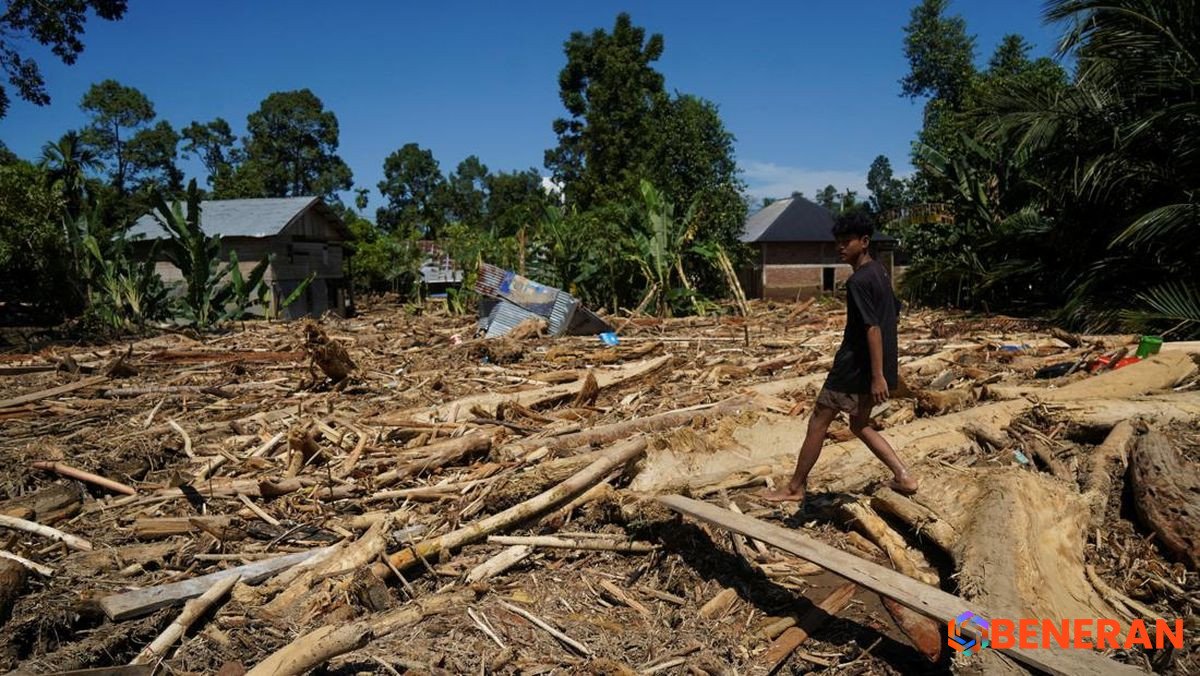 Pidie Jaya Dilanda Banjir Bandang: Lumpur dan Kayu Terjang Permukiman
