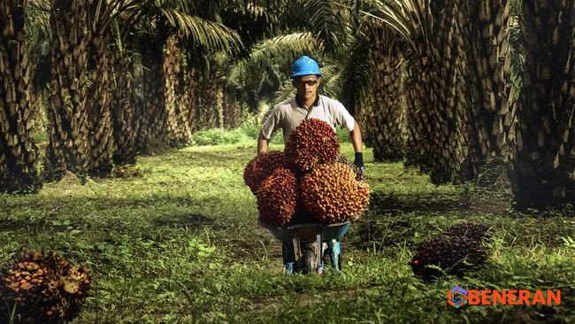 POSCO International Akuisisi Sampoerna Agro Senilai Rp 9,44 Triliun