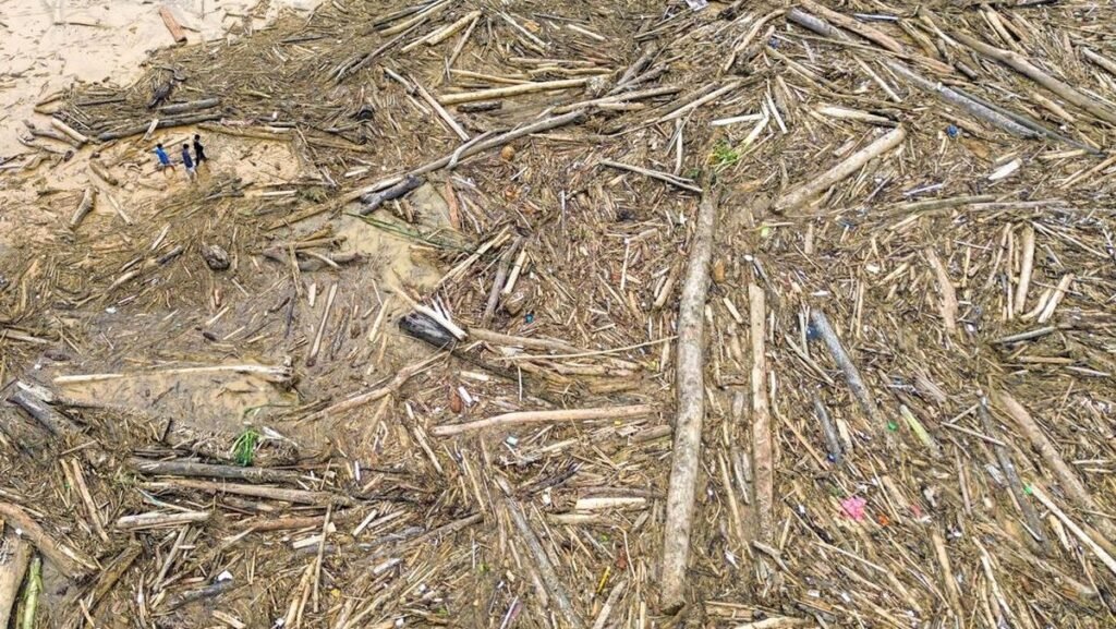 Tumpukan Kayu Gelondongan Penuhi Pantai Air Tawar Padang Pasca-Banjir