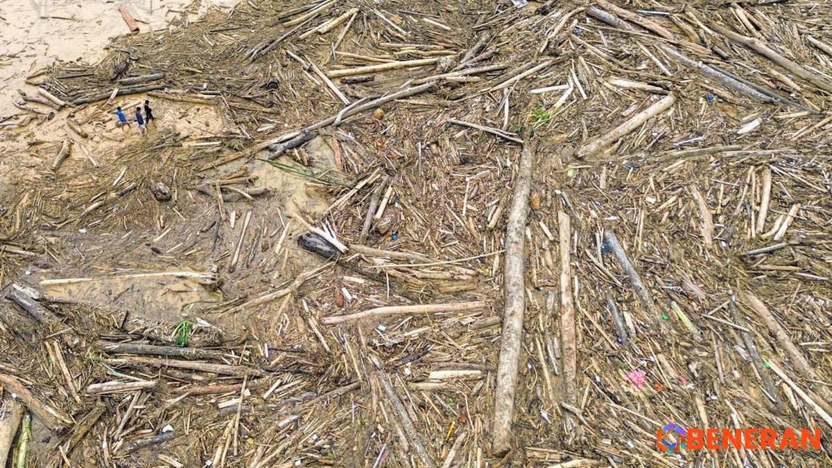 Tumpukan Kayu Gelondongan Penuhi Pantai Air Tawar Padang Pasca-Banjir