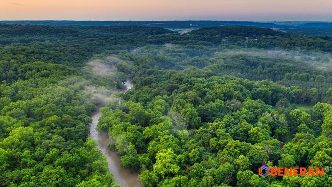 Aksi Konservasi Megah: Johan Eliasch Selamatkan Ratusan Ribu Hektar Amazon