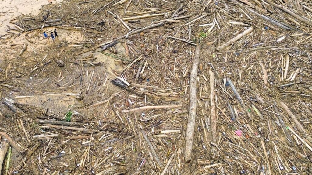 Citra Satelit Ungkap Deforestasi Luas di Sumut, Walhi Bantah Pernyataan Bobby