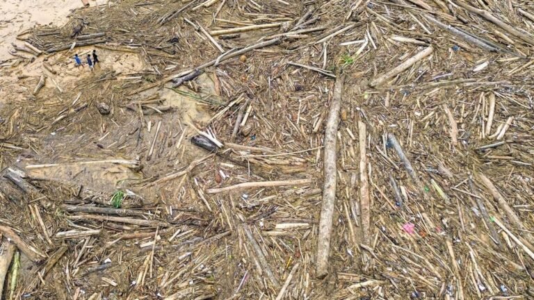 Citra Satelit Ungkap Deforestasi Luas di Sumut, Walhi Bantah Pernyataan Bobby