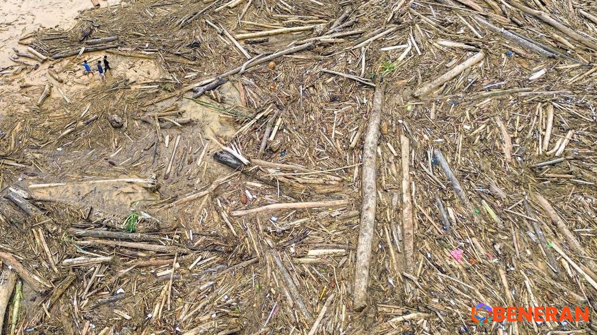 Citra Satelit Ungkap Deforestasi Luas di Sumut, Walhi Bantah Pernyataan Bobby