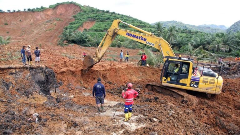 Megawati Serukan Jaga Hutan di Tengah Bencana Sumatra, PDIP Siap Bantu Korban