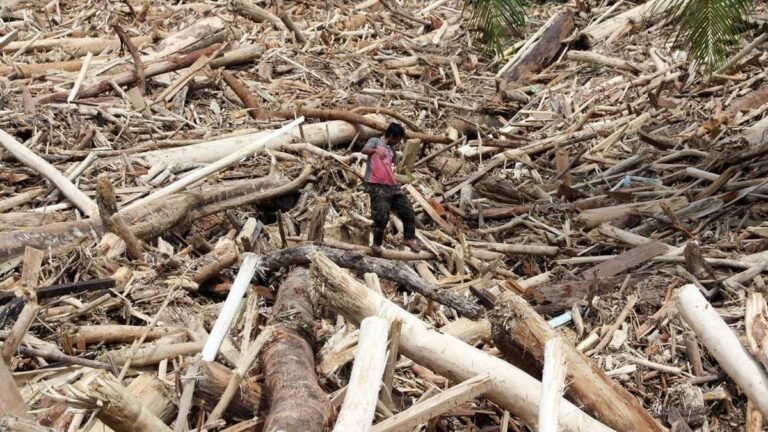 Pembukaan Lahan Skala Besar di Sumatra Utara Diduga Pemicu Banjir, Delapan Perusahaan Disorot