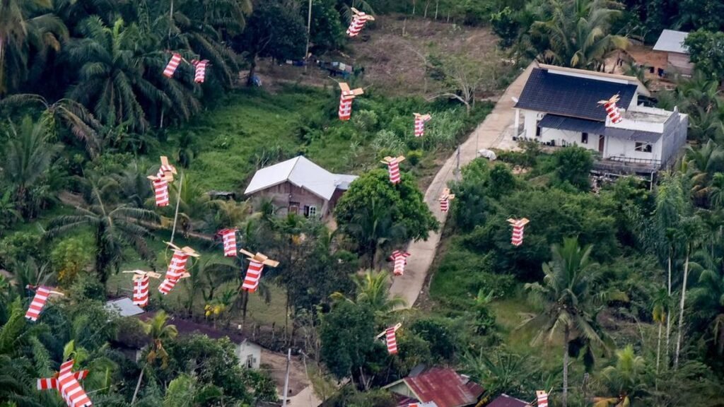 TNI AU Menjangkau Wilayah Terpencil: Bantuan Kemanusiaan Lewat Helibox dan Airdrop
