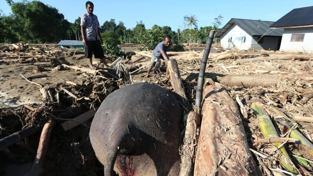 Update: Koalisi Sipil Desak Status Bencana Nasional Imbas Banjir Besar Sumatra