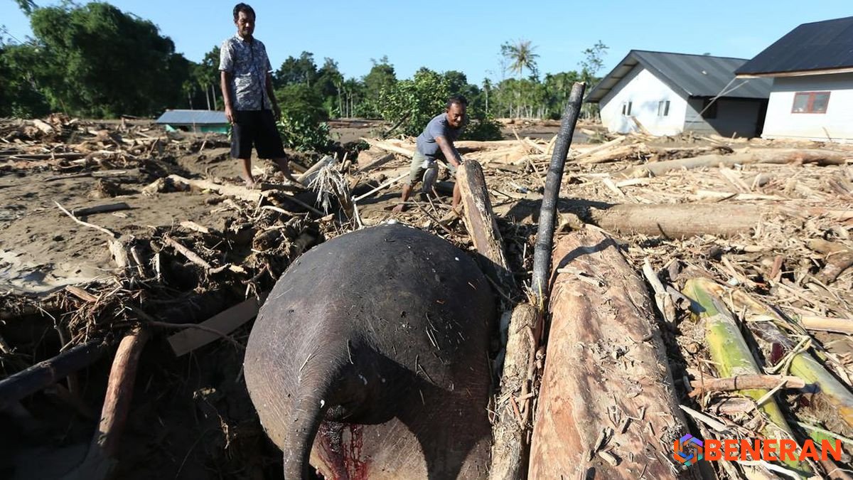 Update: Koalisi Sipil Desak Status Bencana Nasional Imbas Banjir Besar Sumatra