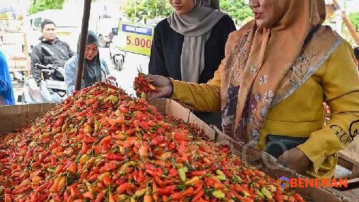 Bapanas Bidik Biaya Distribusi untuk Stabilkan Harga Cabai Rawit