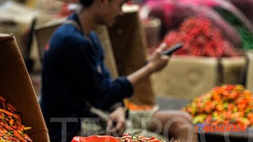 Lonjakan Harga Cabai Rawit Merah Mencekik Pasar: Musim Hujan Jadi Biang Keladi