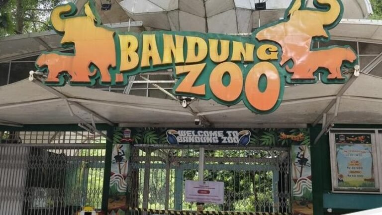 Tragedi Anak Harimau Benggala di Kebun Binatang Bandung: BKSDA Jabar Beri Klarifikasi