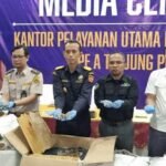 Update: Bea Cuka Gagalkan Penyelundupan 3 Ton Sisik Trenggiling Rp 183 M