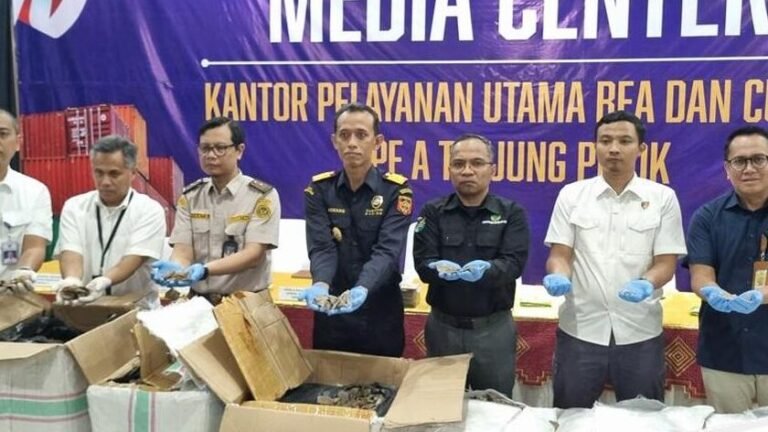 Update: Bea Cuka Gagalkan Penyelundupan 3 Ton Sisik Trenggiling Rp 183 M