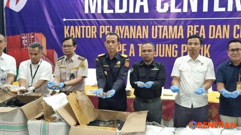 Update: Bea Cuka Gagalkan Penyelundupan 3 Ton Sisik Trenggiling Rp 183 M
