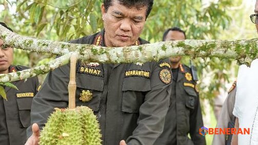 Ekspor Durian Beku Indonesia Melonjak Berkat Jalur Pengiriman Langsung