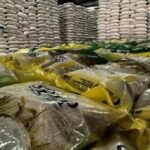 Inovasi Beras Kemasan 2 Kg: Strategi Baru Stabilisasi Pangan Pemerintah