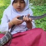 Persahabatan Tak Lazim: Kisah Viral Siswi SD Cianjur dan Ular King Koros