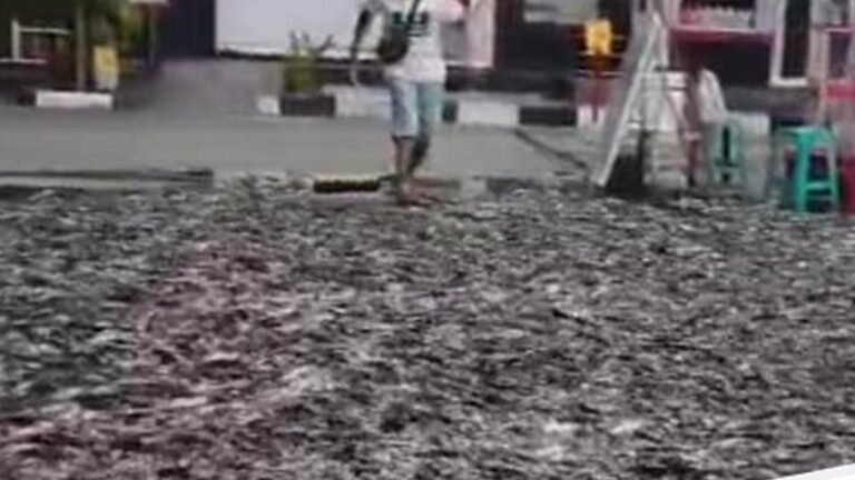 Kekacauan Unik di SPBU Klaten: Truk Tumpahkan Ribuan Lele Hidup