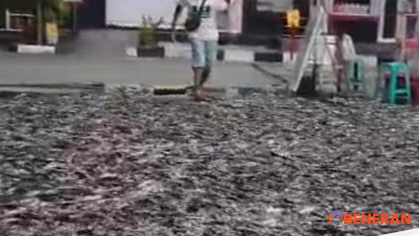 Kekacauan Unik di SPBU Klaten: Truk Tumpahkan Ribuan Lele Hidup