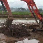 Pemulihan Cepat Sawah Solok: Petani dan Satgas PRR Selamatkan Musim Tanam