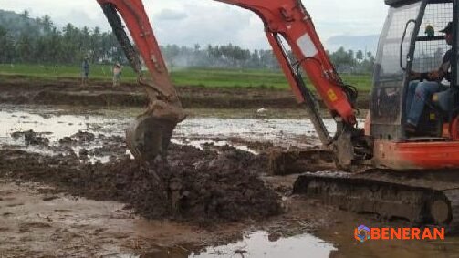 Pemulihan Cepat Sawah Solok: Petani dan Satgas PRR Selamatkan Musim Tanam