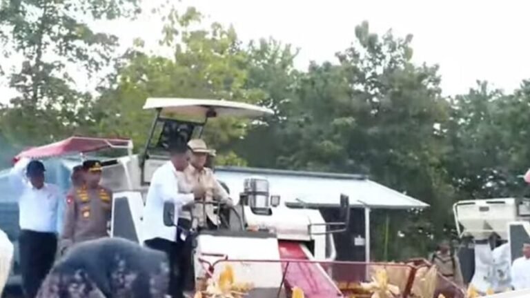 Prabowo Pimpin Panen Raya Jagung di Tuban: Dorong Ketahanan Pangan Nasional