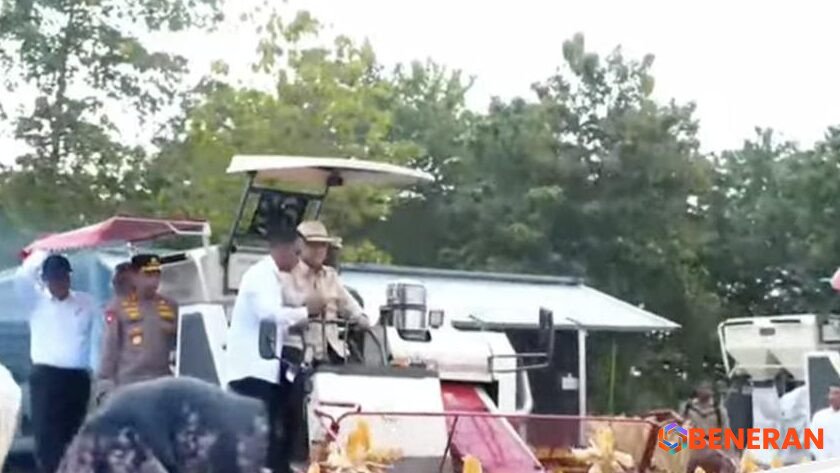 Prabowo Pimpin Panen Raya Jagung di Tuban: Dorong Ketahanan Pangan Nasional